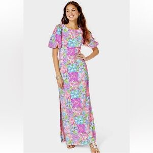 NWT Lilly Pulitzer Kimberle Stretch Maxi Dress Multi Take It From Your Mums 4